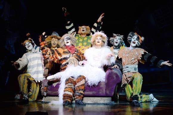 Cats Cats