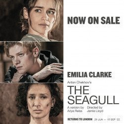 The Seagull tickets