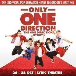 Only One Direction - The One Direction Story Only One Direction - The One Direction Story