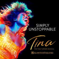 Tina The Musical Tina The Musical
