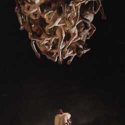 BalletBoyz - Six Lethargies tickets