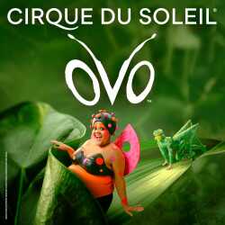 OVO - Cirque du Soleil tickets