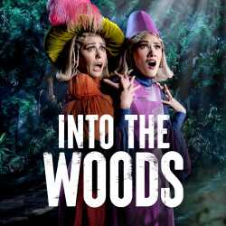 Into The Woods tickets